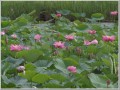 2009072401