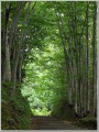 2009072501