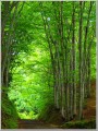 2009072502