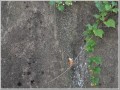2009081701