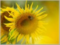 2009082221