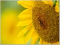 2009082222
