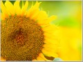 2009082223