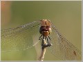 2009100603