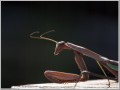 2009101503