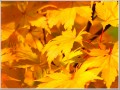 2009101701