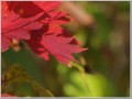 2009102011