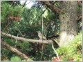 2009102512