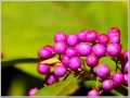 2009110701