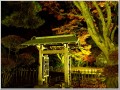 越路もみじ園