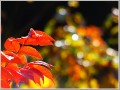 2009112301