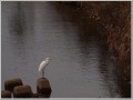 2009112912 2009112912