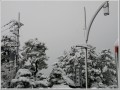 2009121701