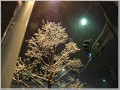 2010012201