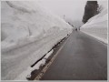 山古志