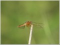 2010071811
