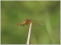 2010071813