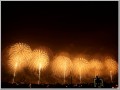 長岡花火フェニックス