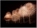 長岡花火フェニックス 長岡花火フェニックス