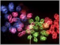 長岡花火2010