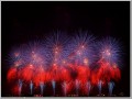 長岡花火2010