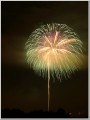 2010長岡花火