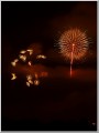 2010長岡花火