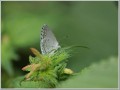 2010081712
