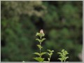 2010092501