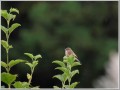 2010092503