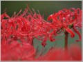 2010101311