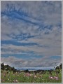 2010101501