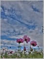 2010101502