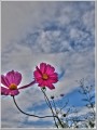 2010101503
