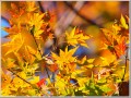 2010102601