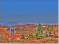 2010113001