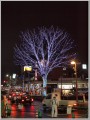 2010120714