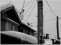 2011013012