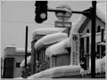 2011013013