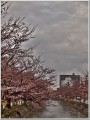 2011041601