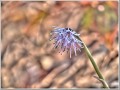 2011042701