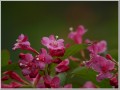 2011052211