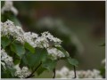 2011052212