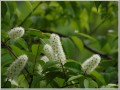 2011052213