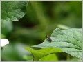 2011070701