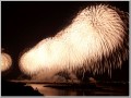 フェニックス2011