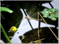 2011082102