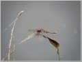 2011082513