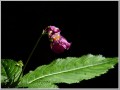 2011090611