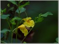 2011090613